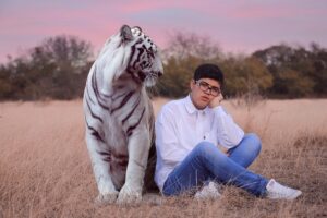 lion