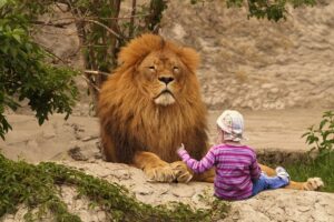 lion